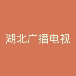 湖北广播电视台