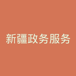 新疆政务服务网