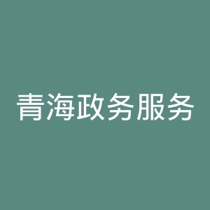 青海政务服务网