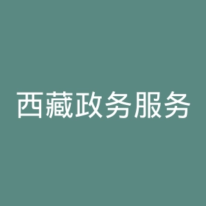 西藏政务服务网