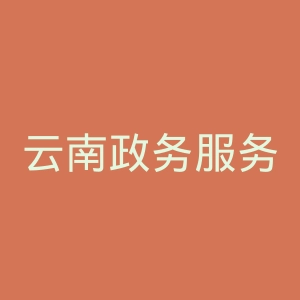 云南政务服务网