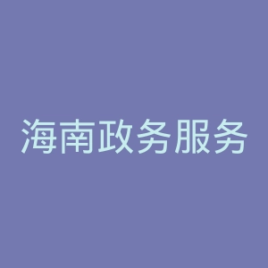 海南政务服务网