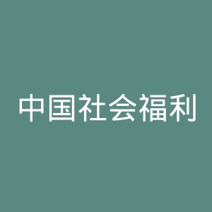 中国社会福利基金会