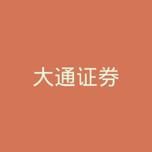 大通证券