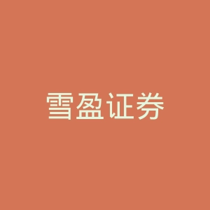 雪盈证券