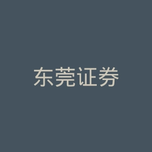 东莞证券