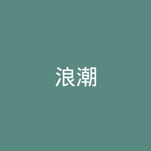 浪潮