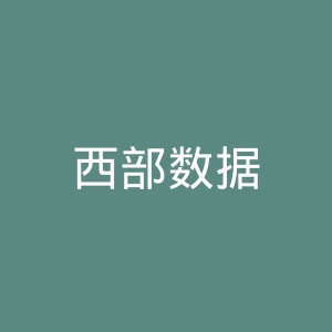 西部数据