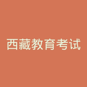 西藏教育考试院