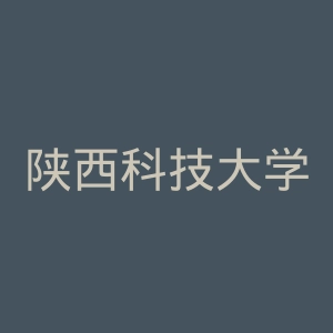 陕西科技大学镐京学院