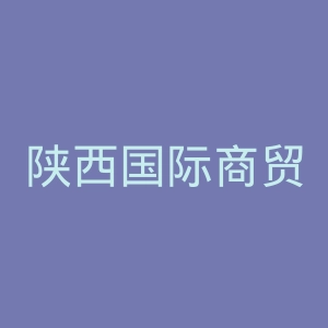 陕西国际商贸学院