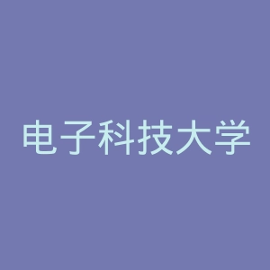 电子科技大学成都学院