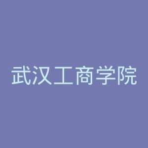 武汉工商学院