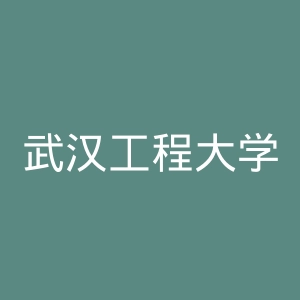 武汉工程大学