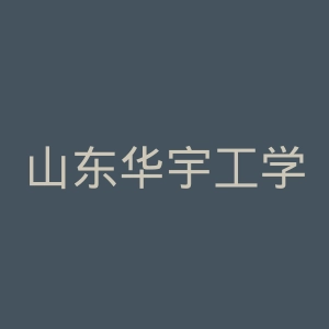 山东华宇工学院