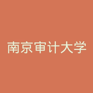 南京审计大学金审学院