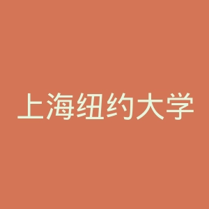 上海纽约大学