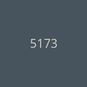5173