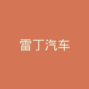 雷丁汽车