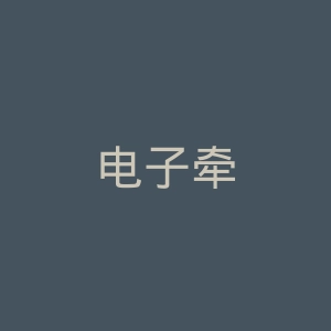 电子牵