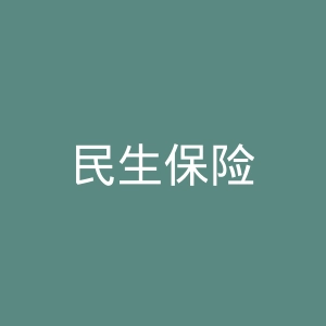 民生保险