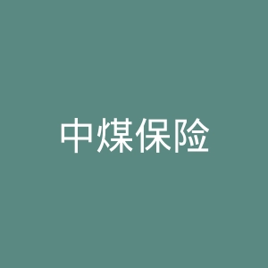 中煤保险