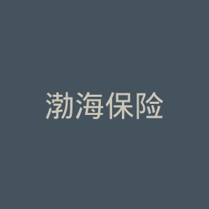 渤海保险