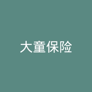 大童保险