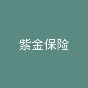 紫金保险