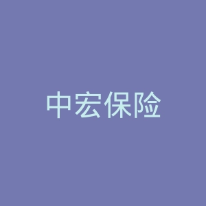 中宏保险