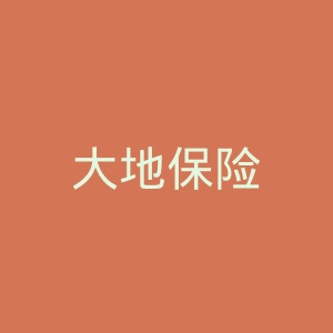 大地保险