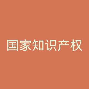 国家知识产权局