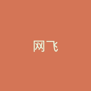 网飞