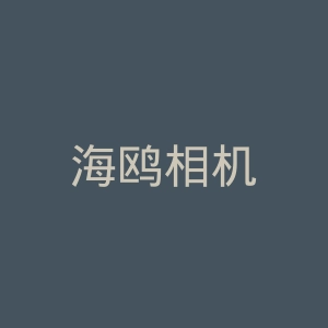 海鸥相机