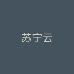 苏宁云