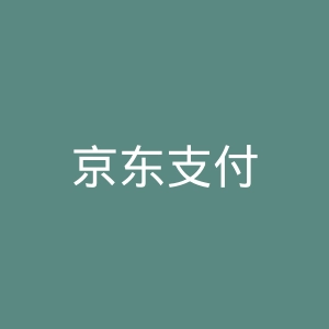 京东支付