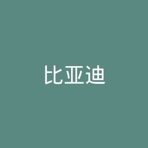 比亚迪