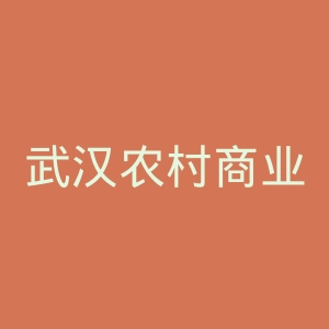 武汉农村商业银行