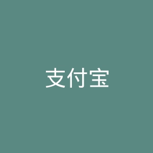支付宝