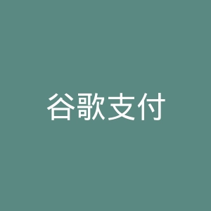 谷歌支付