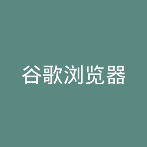 谷歌浏览器