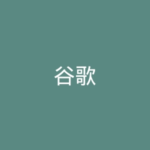 谷歌