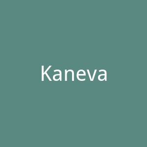 Kaneva官网