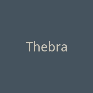 Thebraintraining官网