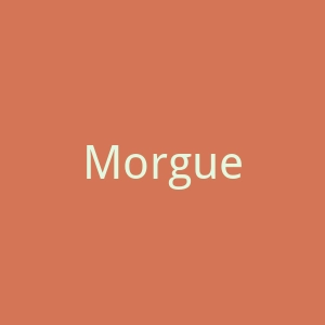 MorgueFile官网