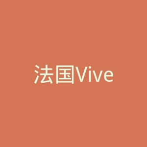 法国Vivendi威望迪集团官网