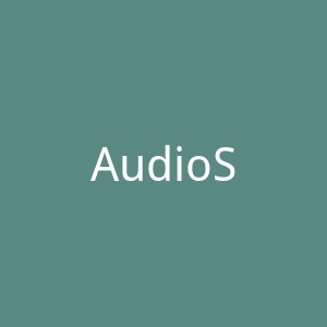 AudioSkins官网