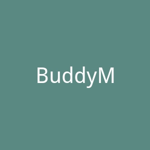 BuddyMedia官网