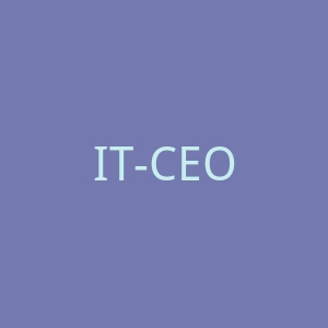 IT-CEO官网