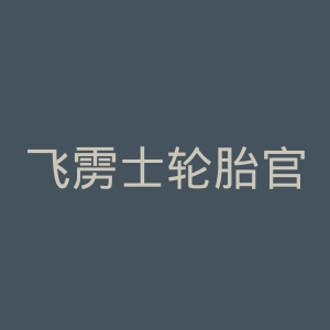 飞雳士轮胎官网